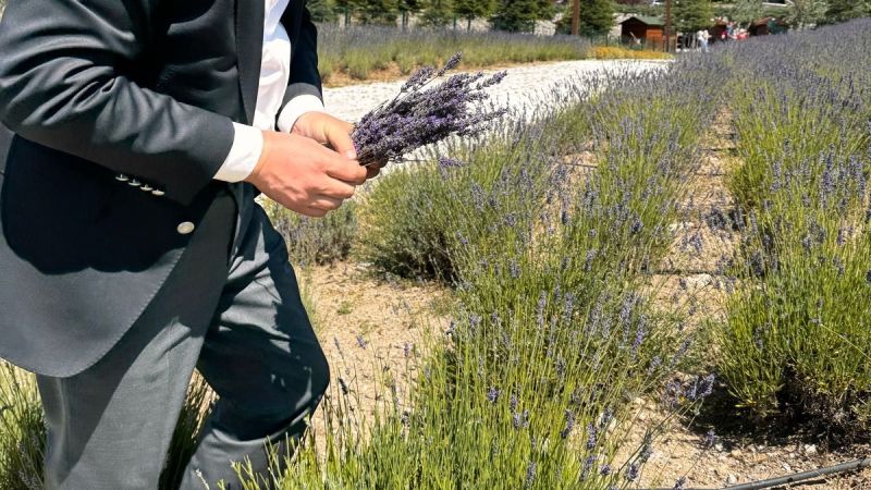 Pursaklar Endemik Vadi'de renkliliğin ve kokunun şöleni