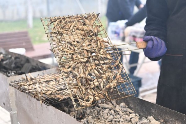 Mamak’ta, Rengarenk Hamsi Festivali