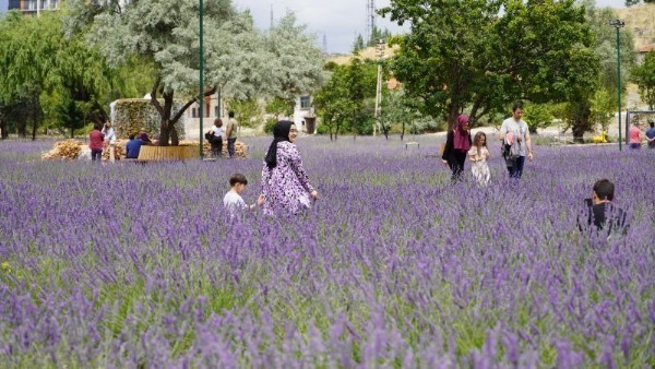 Ovacık Lavanta ve Gül Bahçesi Çekim Platosu'na Davet! Keçiören Belediye Başkanı Turgut Altınok Duyurdu!