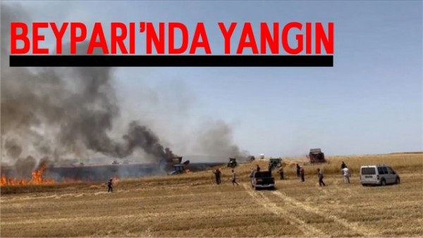 Beypazarı'nda Ekili Tarlada Yangın Çıktı