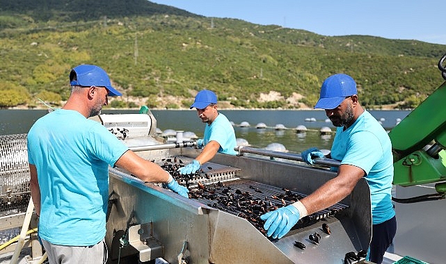  CarrefourSA'dan Mavi Ekonomi ile Sürdürülebilir Deniz Ürünleri Atağı