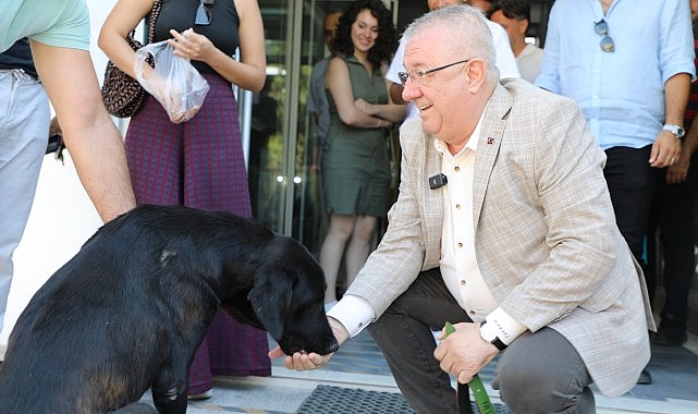  Edremit Belediye Başkanı Mehmet Ertaş sokak köpeğini sahiplendi