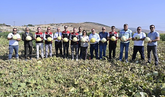  Foça'da 5. Geleneksel Kavun Hasat Şenliği Coşkuyla Kutlandı