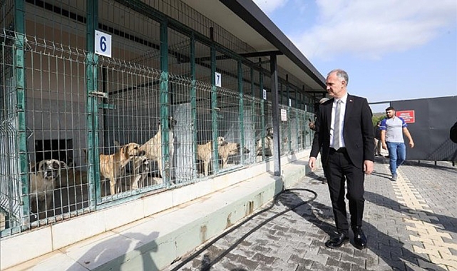 İnegöl'de Sokak Hayvanları İçin Yeni Adımlar Atılıyor