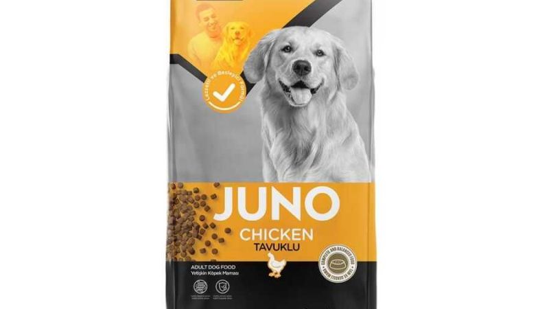 Kedi ve köpekler İçin En İyi Mama Markaları: Rico ve Juno