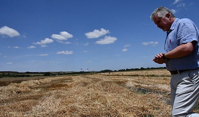  Lüleburgaz Belediyesi'nden 160 ton buğday hasadı