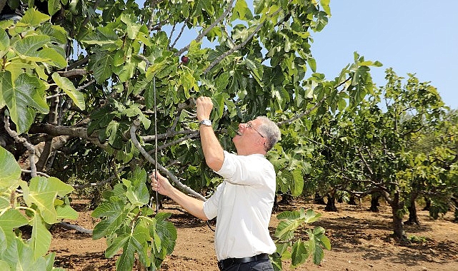 Mudanya tarımla kazanacak