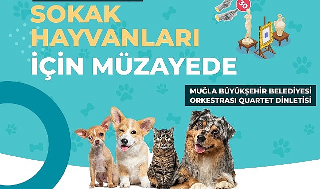  Muğla Büyükşehir Belediyesi tüm geliri sokak hayvanları yararına kullanılacak müzayede düzenliyor.