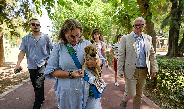 Sahipsiz Köpek Popülasyonu Yönetimi İzmir Eylem Planı hazırlandı