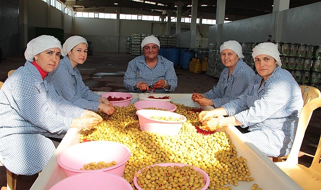  Sofralık zeytin ihracatı 200 milyon dolara koşuyor