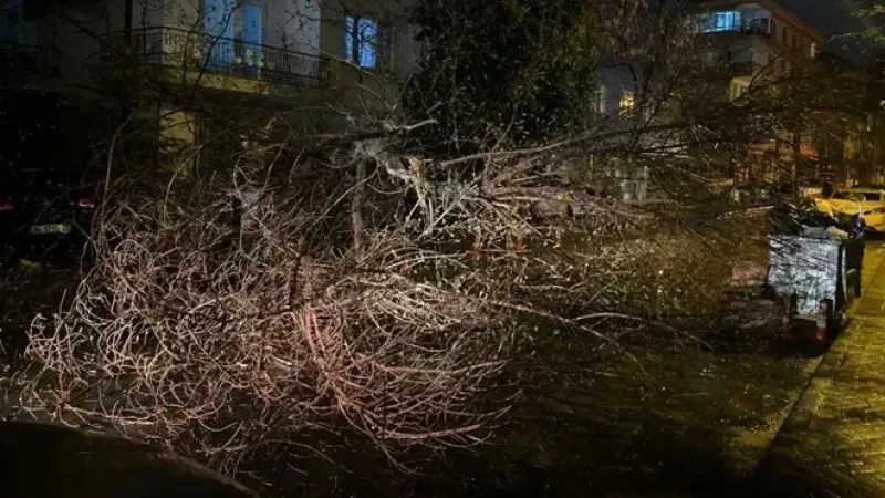  Ankara'da fırtına etkili oldu! Ağaç devrildi yol trafiğe kapandı