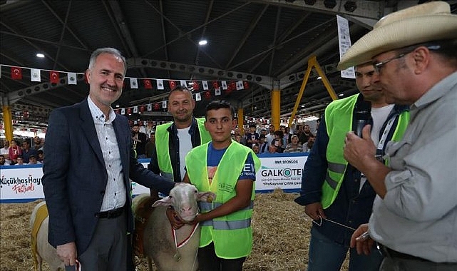  Yerli Tavuk Irkları İle Koçlar İnegöl'de Podyuma Çıkacak